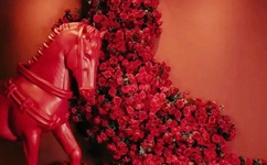 年轻的姐姐2线观高清